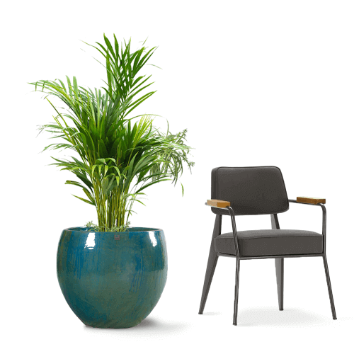 مراكن سيراميك اخضر 5342