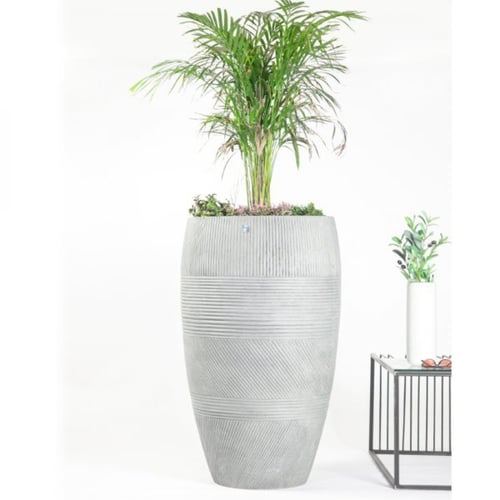 مراكن بولي رمادي كبير 5397