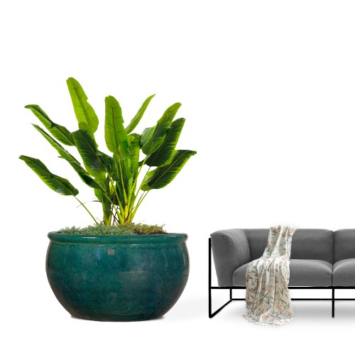 مراكن سيراميك أخضر موديل 5749