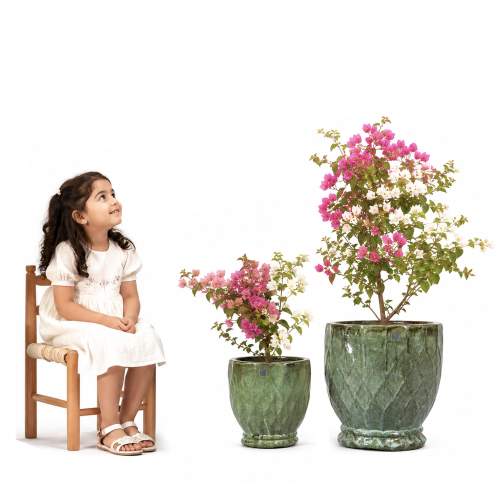 مركن سيراميك اخضر زيتي مزخرف 5775