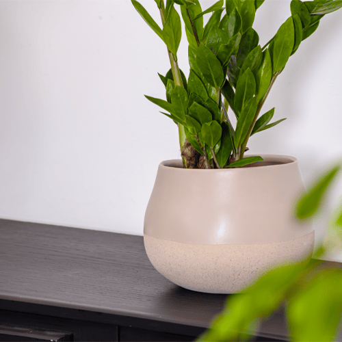 فازة سيراميك 6641