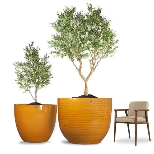 مراكن سيراميك موديل 5755