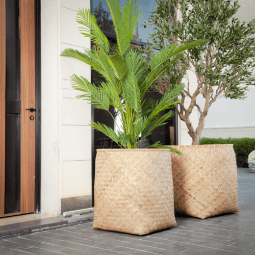 مراكن خوص طبيعي موديل زين