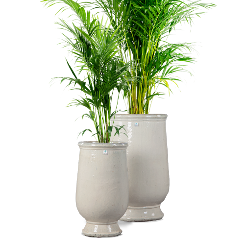 مراكن سراميك سكري فاتج 5458