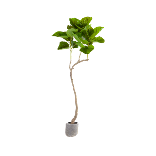 شجر Fiddle fig صناعي 150 سم 9070