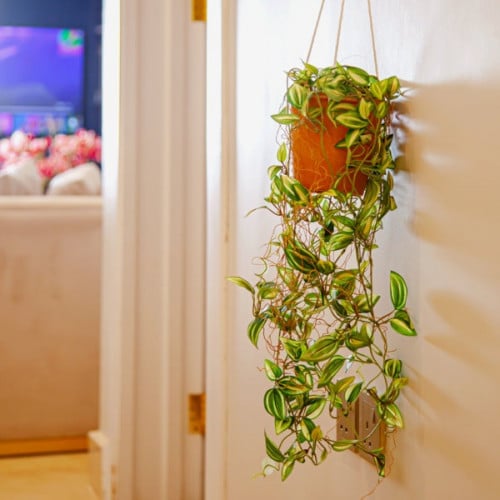 زرع صناعي ديكور معلق مع الحوض طول 65 سم