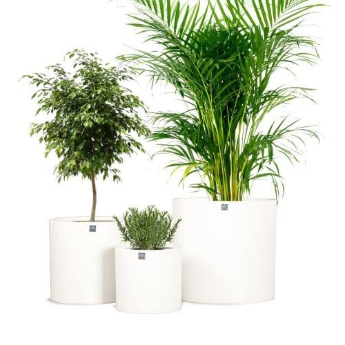 مركن بولى اسطوانى ابيض 6311