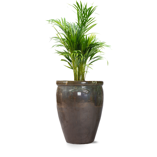 مراكن سيراميك زيتي 5687