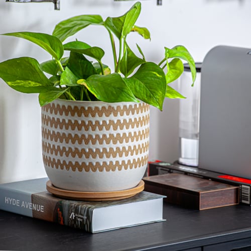 حوض طاولة سيراميك مع صحن 6708