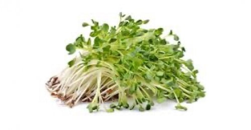 البرسيم الحجازي / ربع كيلو