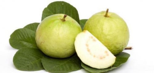 ورق جوافة