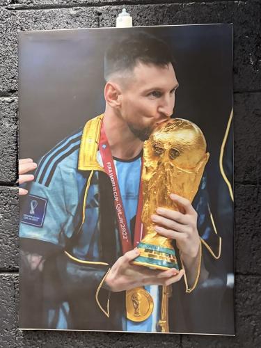 صورة اللاعب Messi