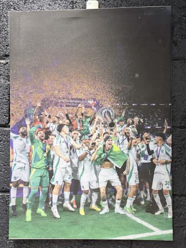صور نادي الاهلي