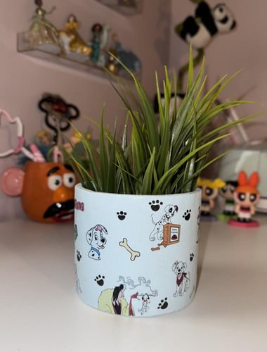 اصيص زرع ١٠٠ مرقش ومرقش