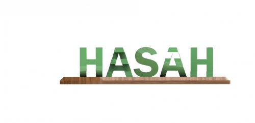 3d dual illusions - دول إللوجن (إسمين)