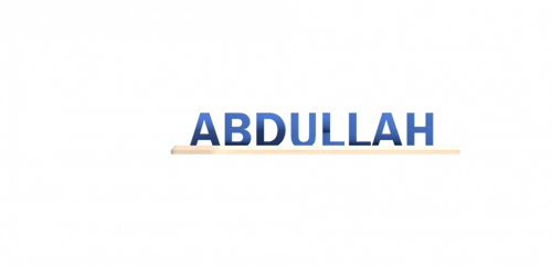 3d dual illusions - دول إللوجن (إسمين)