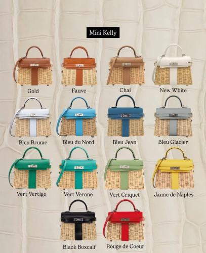 Hermès Mini Picnic Kelly 20 شغل يدوي