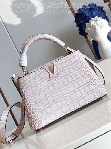 شنطه LV ماستر 27 cm
