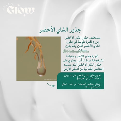 ماسك اموس لانبات الشعر بالشاي الأخضر Amos Professi...