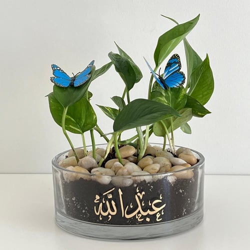 فازة بوتس مطبوع - قطر 20 سم