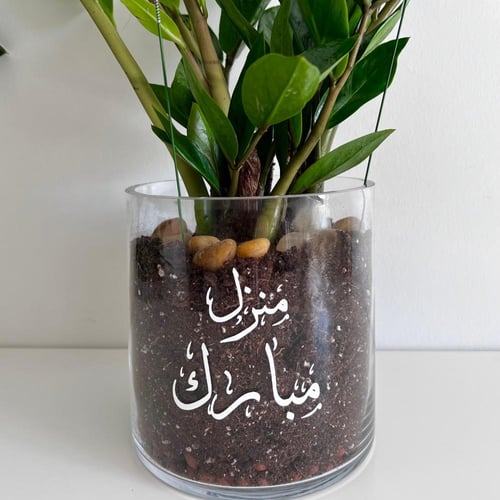 زاميا - مع طباعة