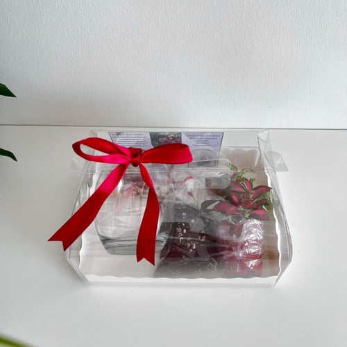 مجموعة تيراريوم سلام - مفتوح