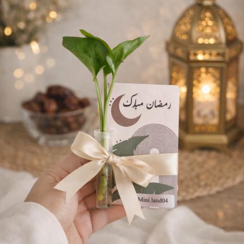 كرت بوتس - رمضان مبارك