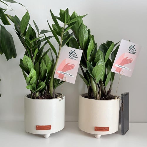 1 زاميا - حوض كونكريت الارنب