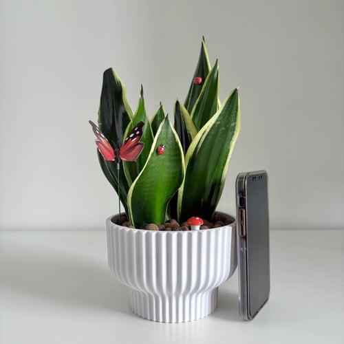 سنسفيرا - مركن بلاستك