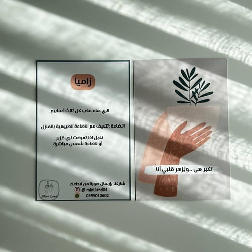 زاميا - فازة سيراميك فاخرة