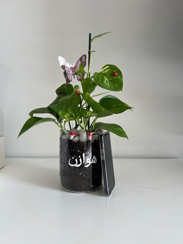 بوتس - فازة زجاج مع طباعة