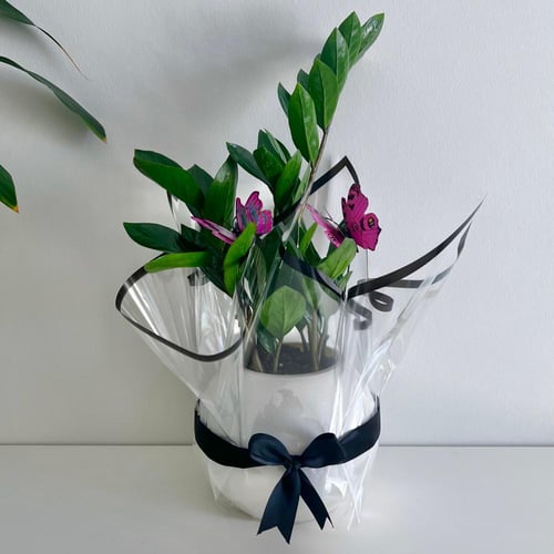 زاميا - حوض فايبر