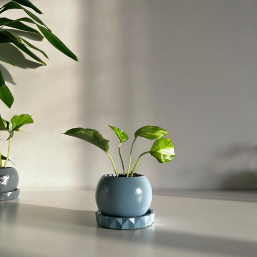 1 بوتس العيد - كونكريت