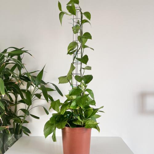 بوتس عمود طول متر - قطر 27