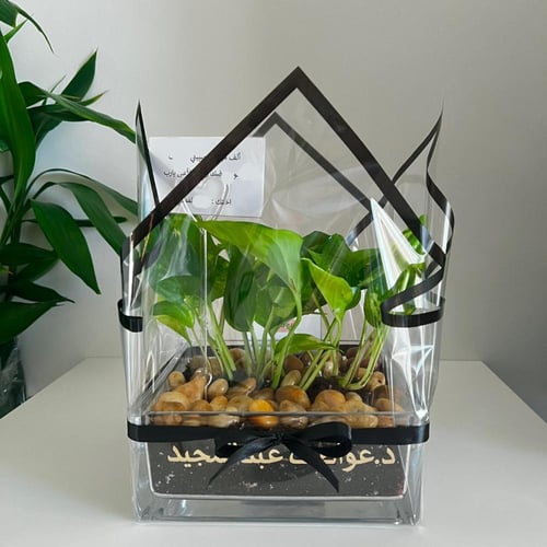 فازة بوتس مربع 20 سم