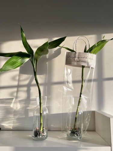 فازة بامبو مع طباعة اسم