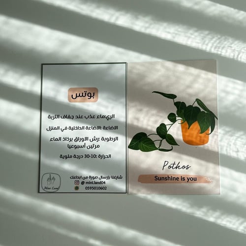 بوتس - فازة زجاج