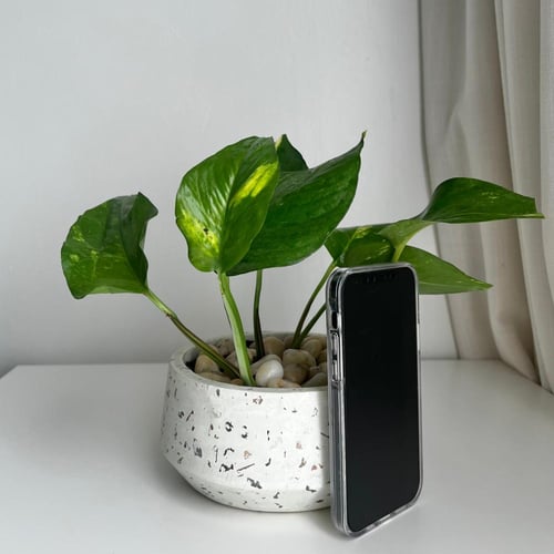 بوتس - حوض حجري ( تيرازو )