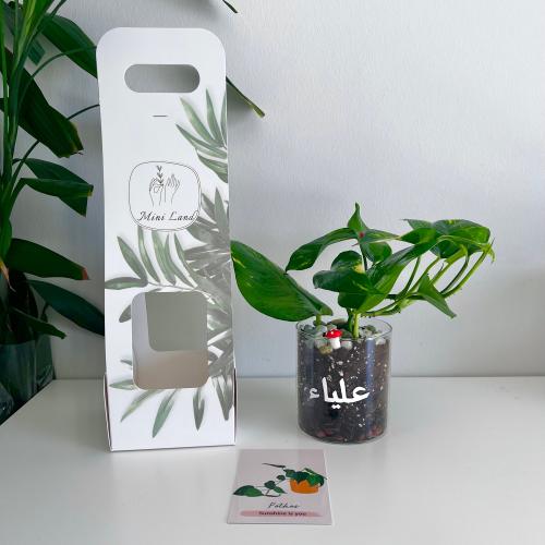 هدية البوتس - فازة مطبوعة