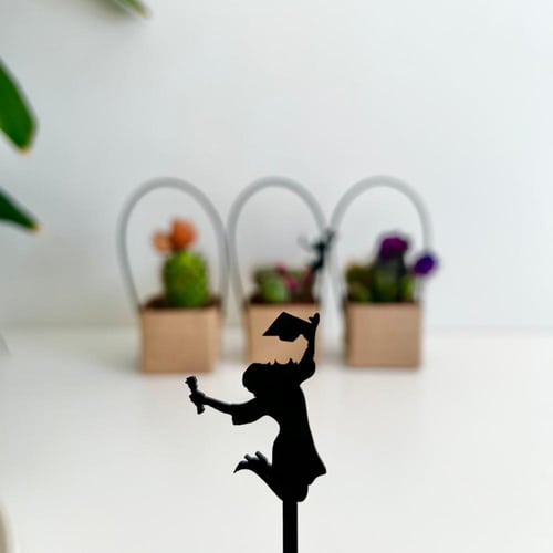 صبار - التخرج