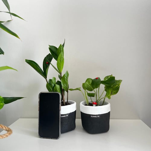 مجموعة السديم