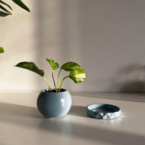 1 بوتس العيد - كونكريت