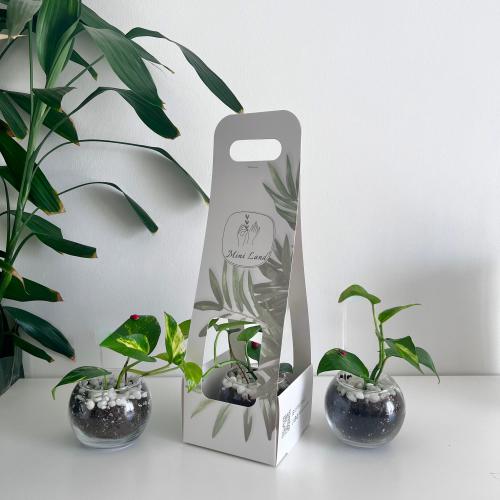 بوتس - فازة زجاج مع الغلاف