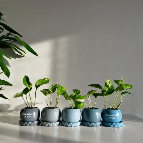 1 بوتس العيد - كونكريت