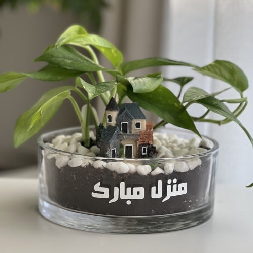 هدية البيت الجديد