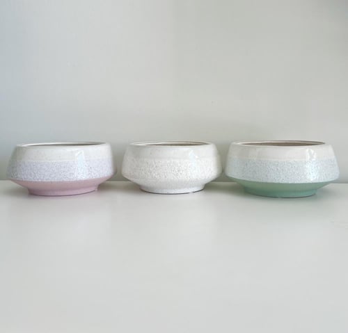 اجلونيما - حوض سيراميك