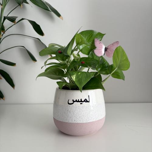 بوتس- سيراميك فاخر- طباعة