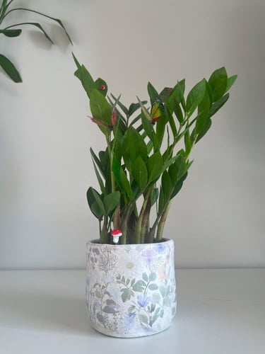 زاميا - حوض اسمنتي