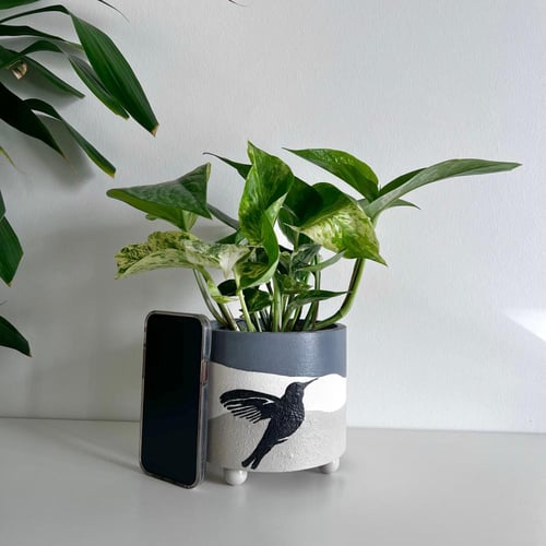 بوتس - حوض رفرفة - كونكريت