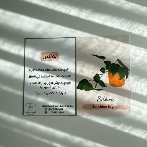 بوتس - يوم المعلم